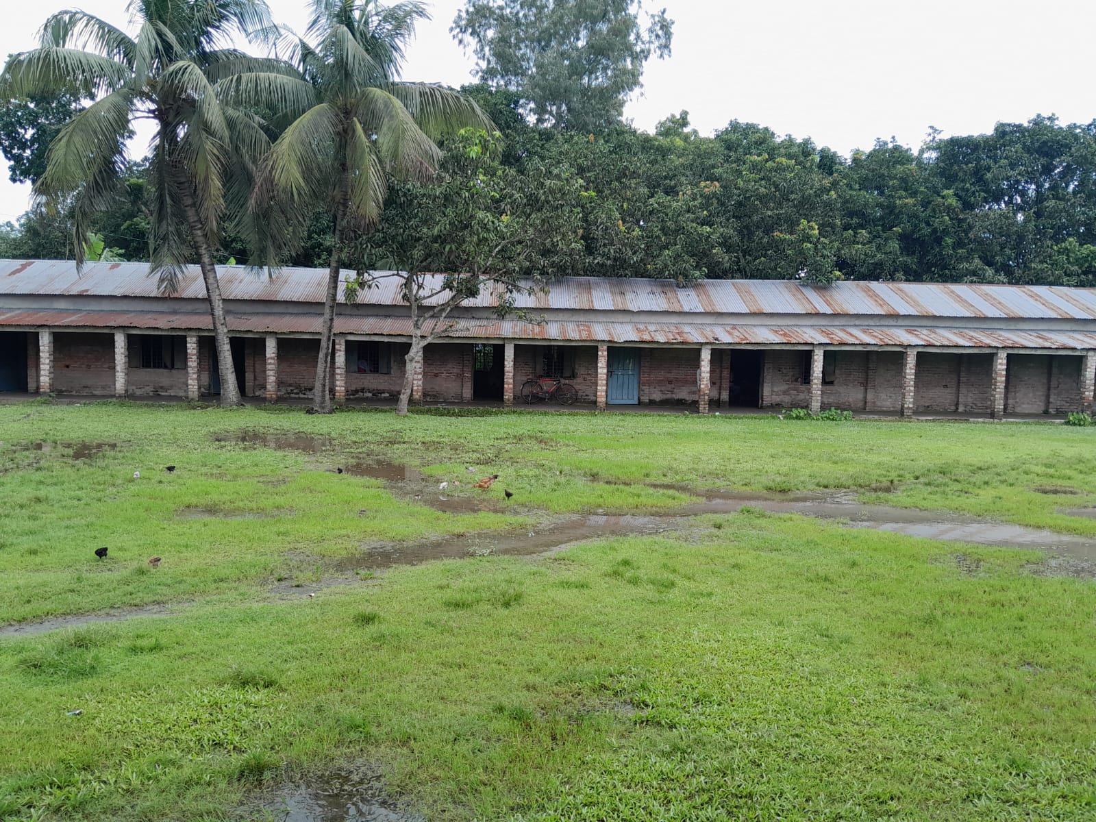 school1